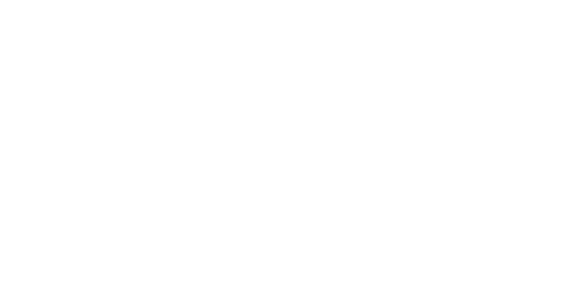 erste bank solvit