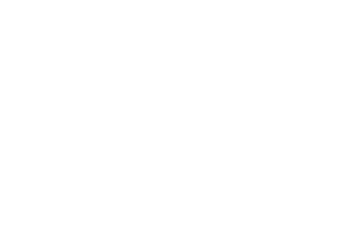 apibanka solvit