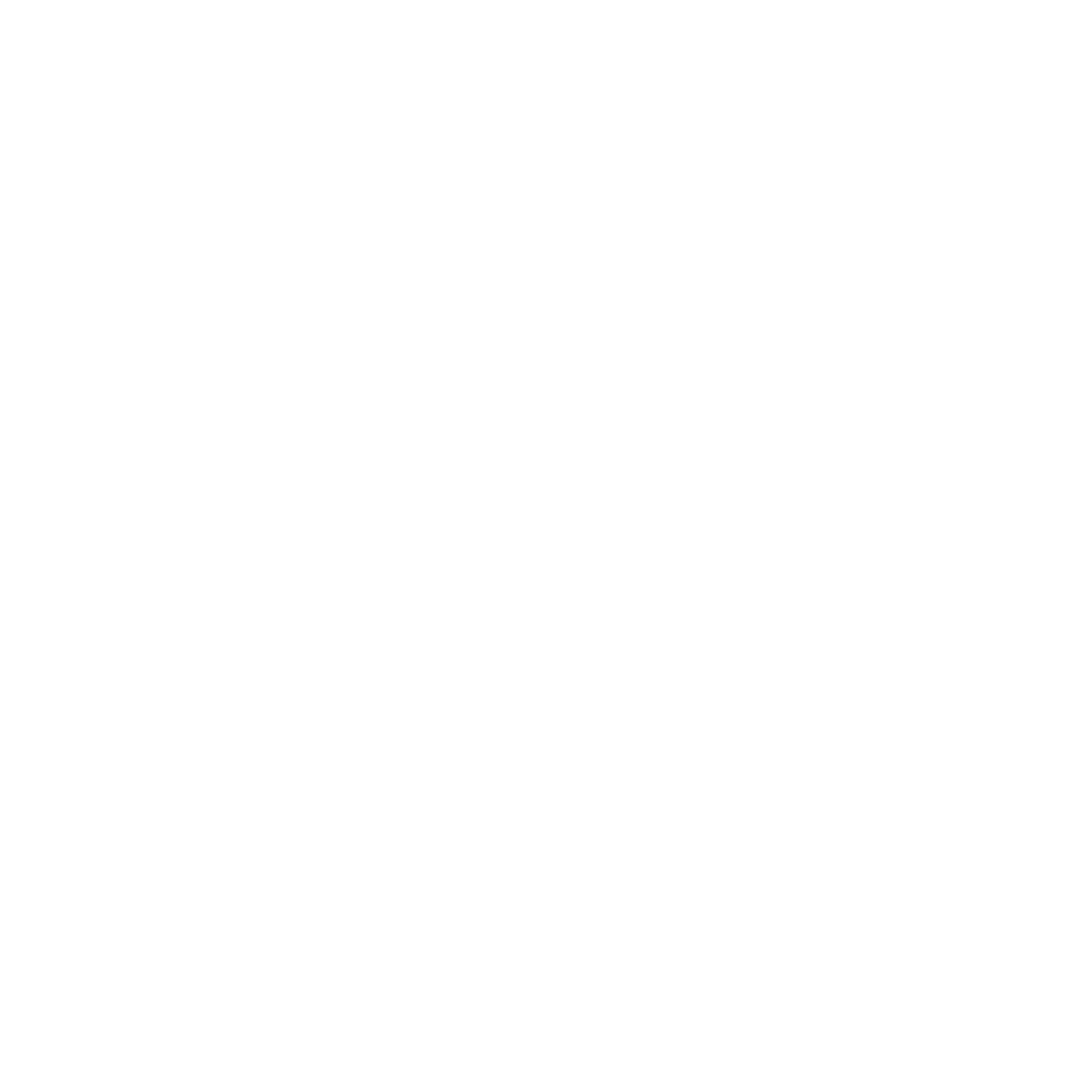 ina solvit