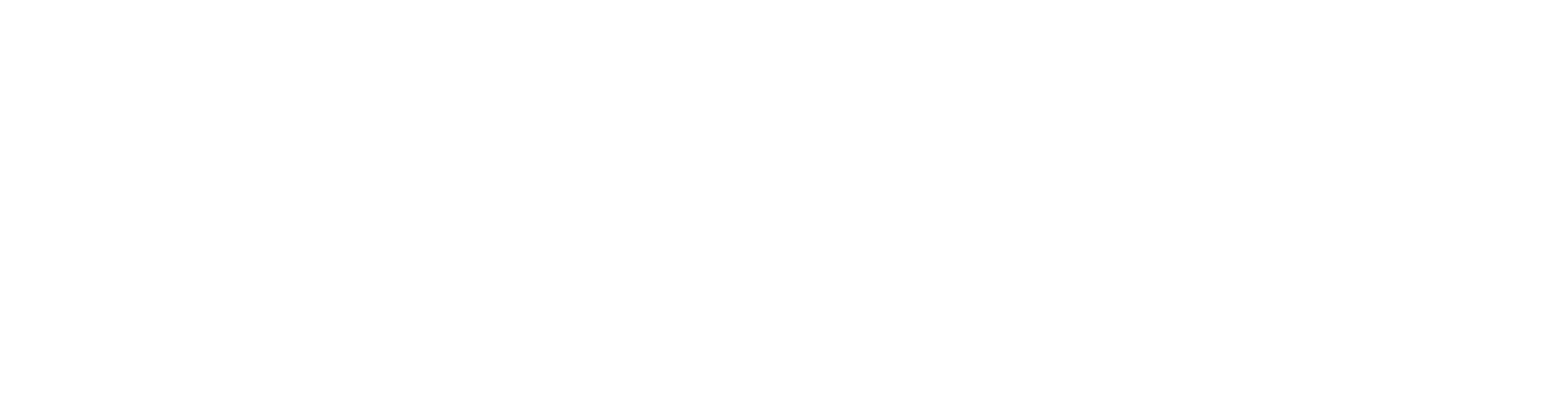 mplus solvit