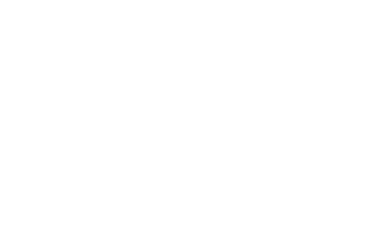 smatsa solvit